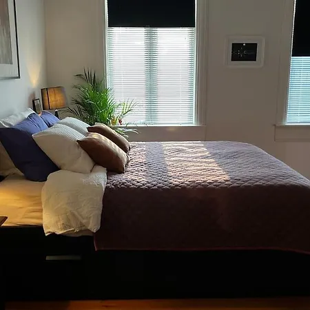 Spacious Historical Art Oasis In The Center Bergen