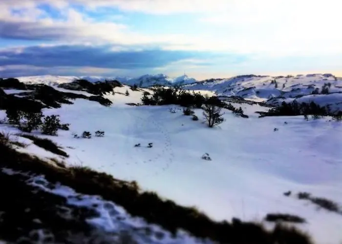Spacious Historical Art Oasis In The Center * 卑爾根