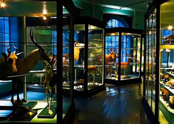 Spacious Historical Art Oasis In The Center 公寓